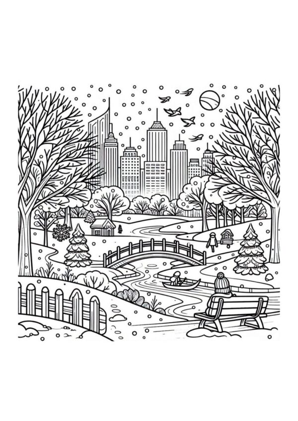 Central Park Winter