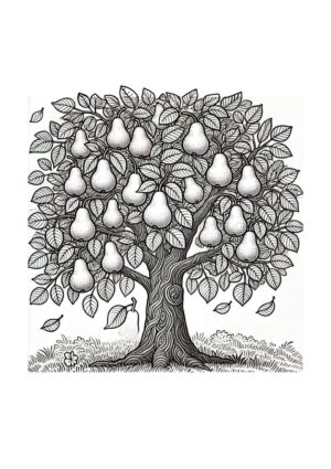Birnenbaum Malvorlage