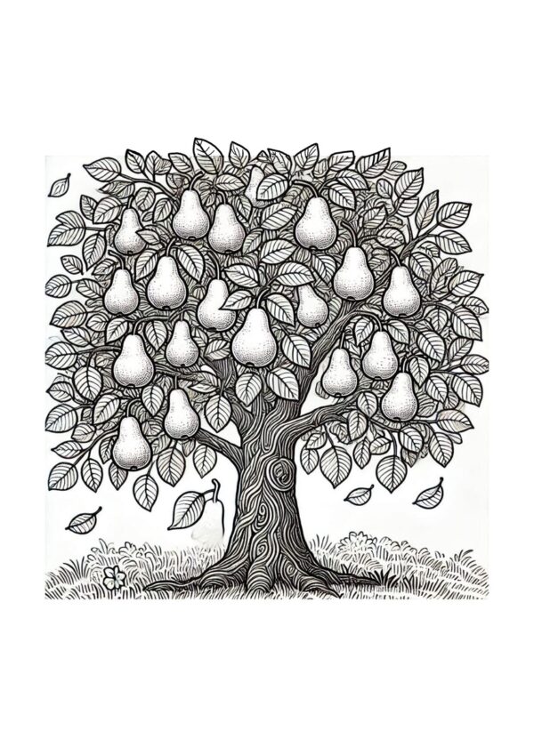 Birnenbaum Malvorlage