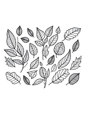 Herbstblätter Malvorlage