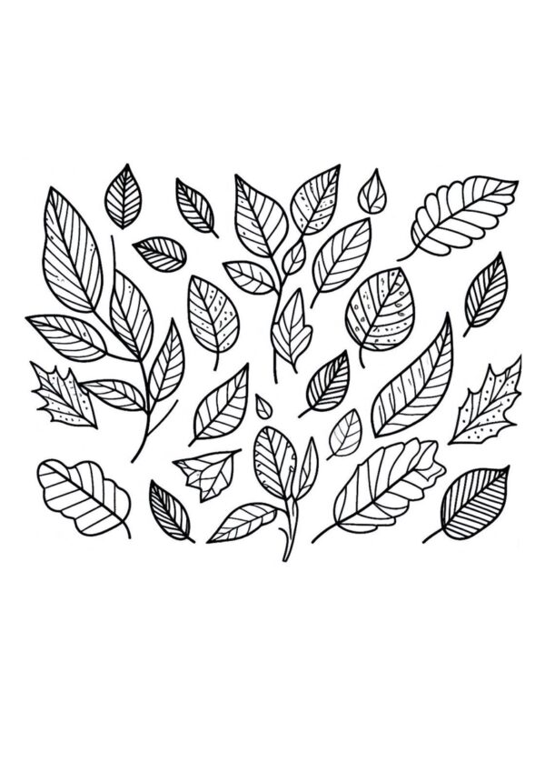 Herbstblätter Malvorlage