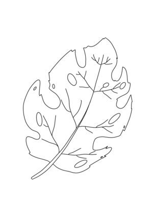 Herbstblatt Malvorlage