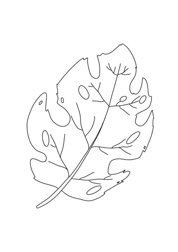 Herbstblatt Malvorlage