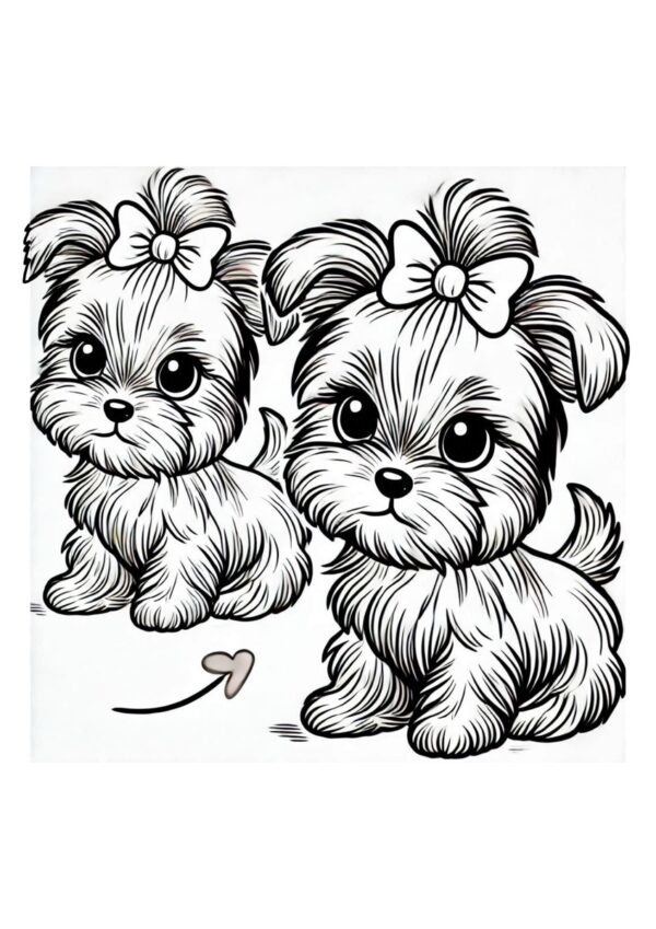 Yorkshire Terrier mit Schleifchen