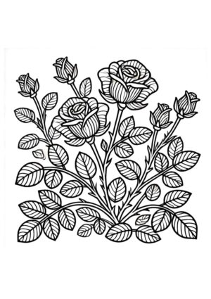 Rosen Ausmalbild