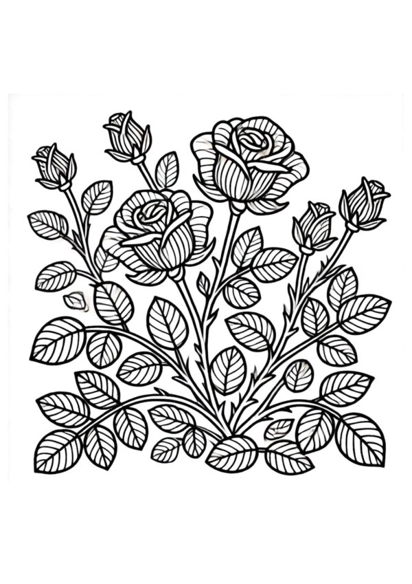 Rosen Ausmalbild